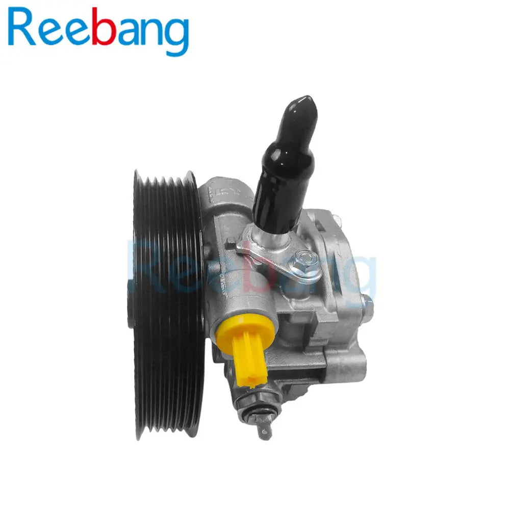 Reebang Power steering pump for Mitsubishi Lancer X 10 4450A107 Reebang
