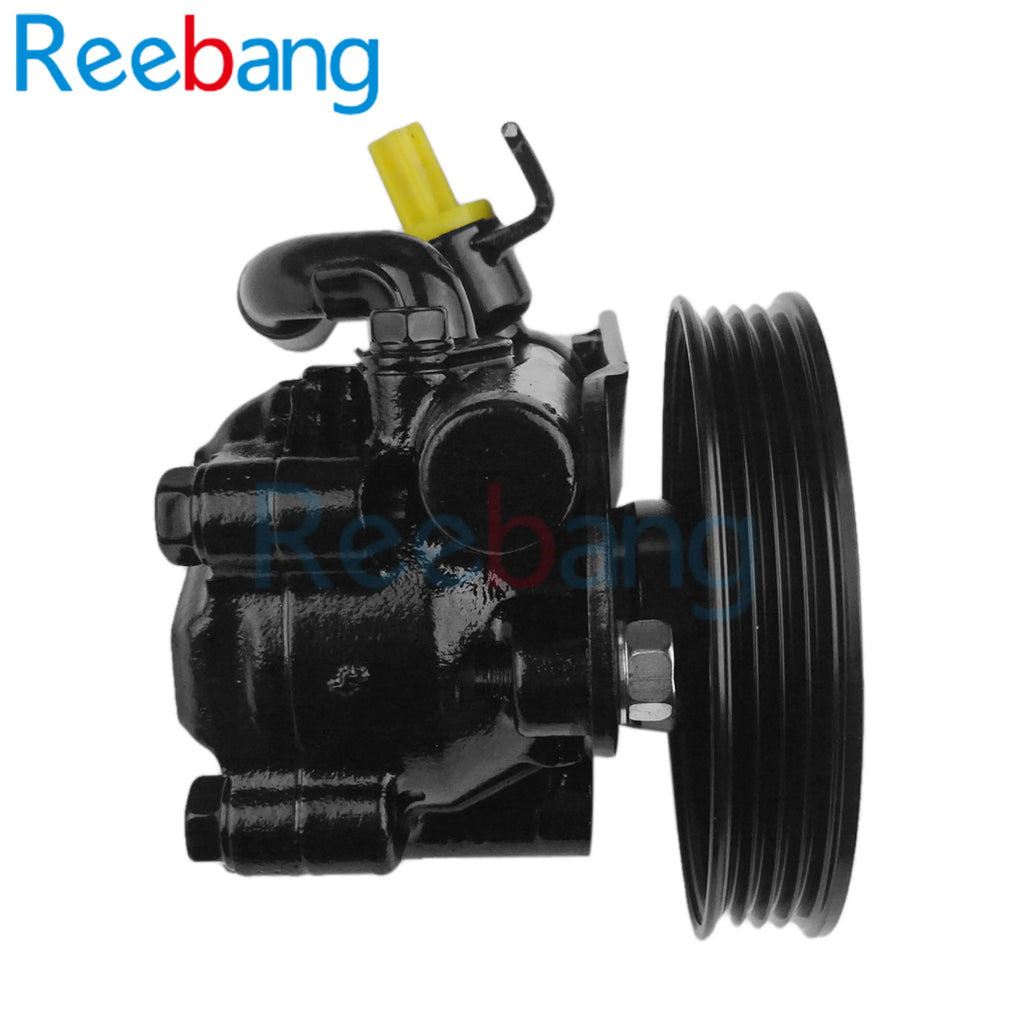 Reebang 49110-40U15 For Nissan A33 A32 VQ30 VQ25 Power steering pump PN08 49110-40U15 4911040U15 Reebang