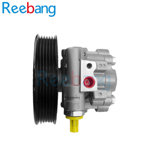 Reebang  For Chevrolet Captiva 2.4 power steering pump 95048234