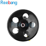 Reebang  For Chevrolet Captiva 2.4 power steering pump 95048234