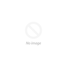 Shipping Policy